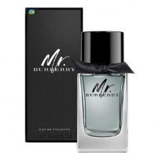 Мужская туалетная вода Burberry Mr. Burberry (Евро качество A-Plus Люкс)​