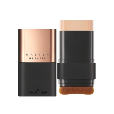 Тональный крем-стик Chosungah TM Master Megafit